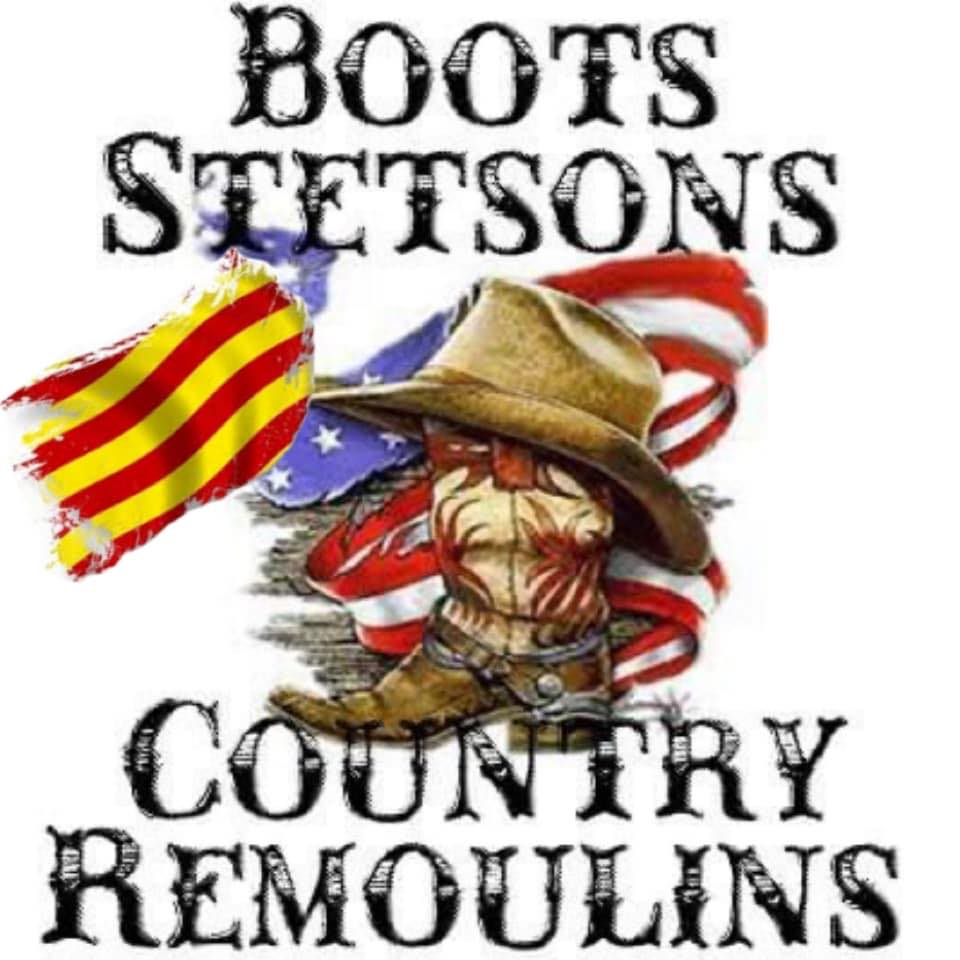 boots stetson country